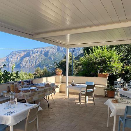 Villa Caterina Affittacamere Maratea Eksteriør bilde